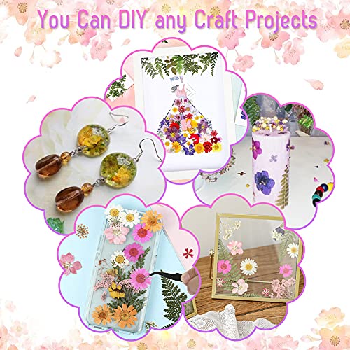 Bloomst Dried Flowers, 4 Pack 100Pcs Pressed Natural Dried Flowers Herbs Set for Resin Jewelry Making Soap Candle Making