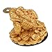 Feng Shui Fortune Oriental Chinese Wealth Coin Decor Gift for or Family