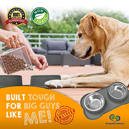 Large Dog Bowls & Mat Set Two Big 54oz (108oz Total) Removable