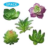 Robibabi Artificial Flower, Pack of 5 Assorted Artificial Echeveria Succulent Picks in Flocked Green and Green 4