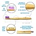EcoTime Organic Bamboo Toothbrush Premium Set for KIDS - 12-Pack with Colorful Bristles Toothbrush Holder HOURGLASS BONUS and Infographic - Biodegradable Handle - BPA Free Soft Bristles - Eco-Friendly