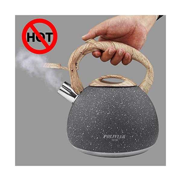 POLIVIAR 2.7 Quart Tea Kettle, Natural Stone Finish, Food Grade