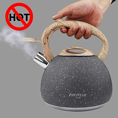 POLIVIAR 2.7 Quart Tea Kettle, Natural Stone Finish, Food Grade Stainless Steel, Loud Whistle