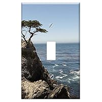 Switch Plate Single Toggle - Pebble Beach Shoreline California Usa Pacific 2