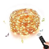 Homestarry Outdoor String Lights,Music Dimmable LED String Lights With Remote,Indoor Decorative Cooper Wire Warm White Lights for Room,Bedroom,Patio,Christmas Tree,Party,Wedding(33Ft,100Leds)
