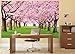 GREAT ART Photo Wallpaper – Cherry Blossom – Picture Decoration Spring Tree Avenue Nature Japan Landscape Sakura Bloom Tokyo Flowers Image Decor Wall Mural (82.7x55.1in - 210x140cm)