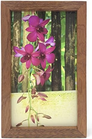 'Casual Orchid' - Orchid blooming on bamboo fencing at our tropical Hawaii Island home - framed print by Harry Durgin