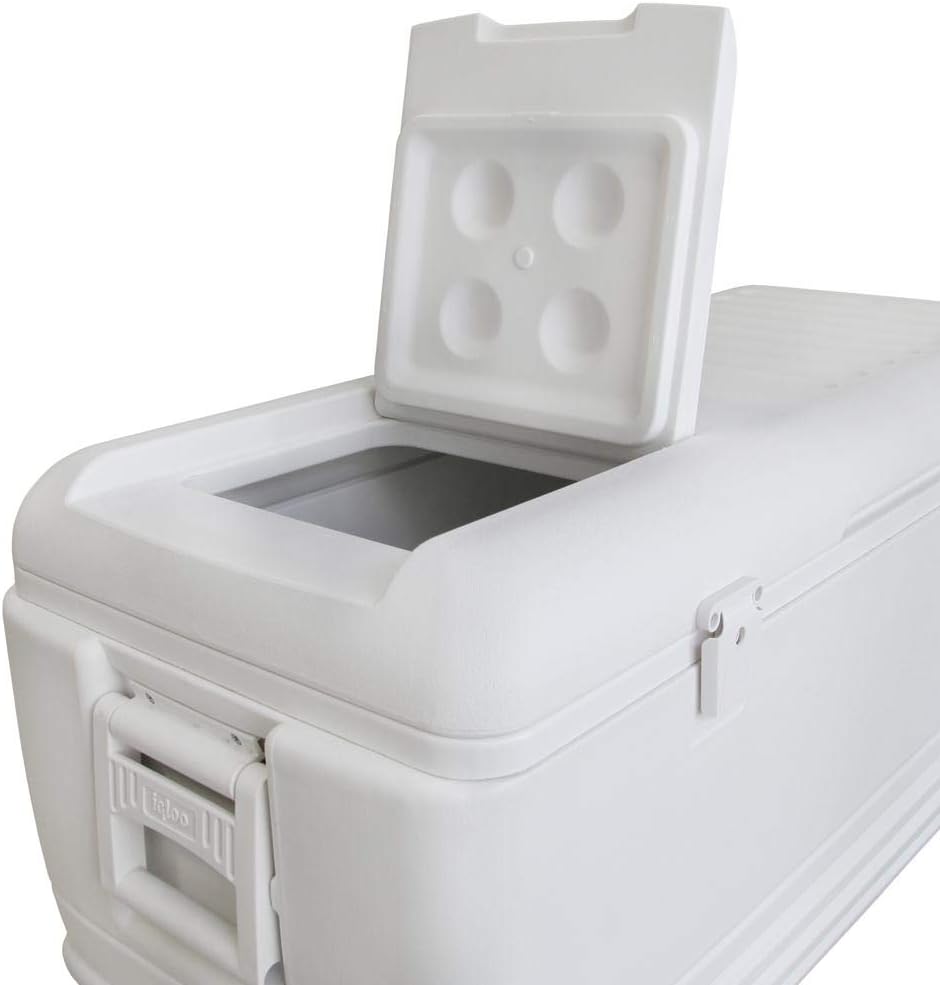 Igloo Quick and Cool 100 Qt. Cooler : Ice Chest : Sports & Outdoors