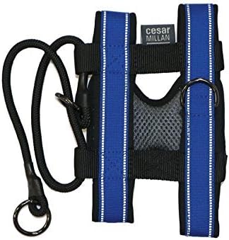 Cesar Millan Blue Dog Collar for Large Dogs, Pack Leader Dog Collar with Harness and Non-Slip Lead, Dog Accessories Designed to Train Dogs Not to Pull