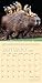 Unlikely Friendships Wall Calendar 2018