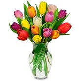 From You Flowers Rainbow Tulip Bouquet 15 Stems in Glass Vase - Fresh Cut Tulips Delivered for Birthday, Anniversary &amp; Spring Gifts