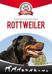Tout ce qu'il faut savoir sur le Rottweiler