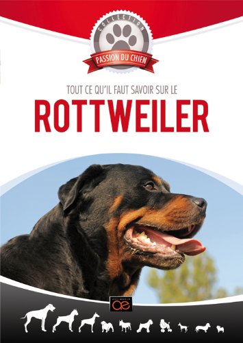 Tout ce qu'il faut savoir sur le Rottweiler