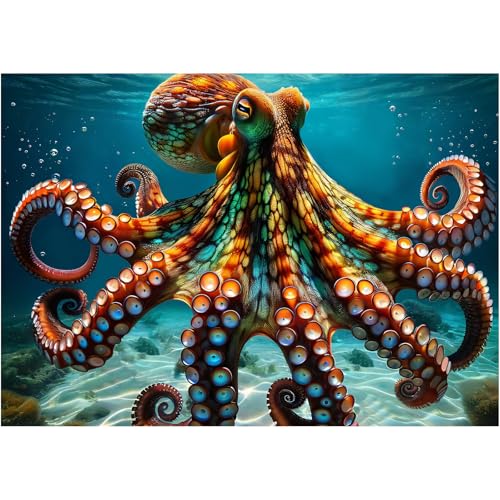 Rocorose Octopus Puzzles