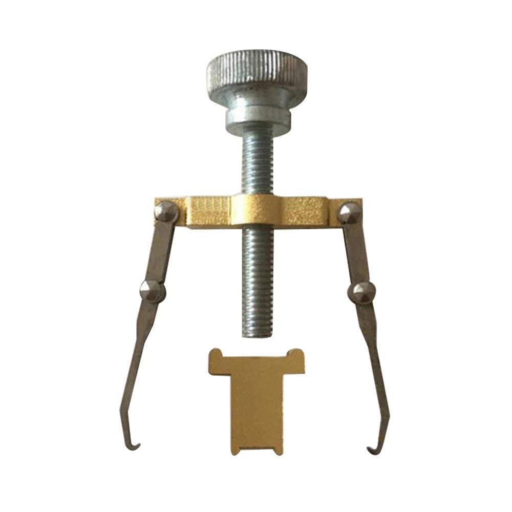 Zinnor Ingrown Toenail Tool, Toenail Correction Tools, Paronychia Toe Nail Corrector Recover Foot Nail Care Pedicure,Paronychia Special Pedicure Tools