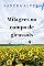 Livro Milagres no campo de girassóis