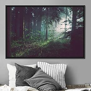 signwin Framed Canvas Wall Art Greenlands Aerial Dark...