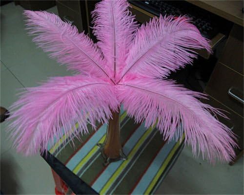 CYNDIE Decoration Free Shipping Wholesale 10 200pcs Pretty Ostrich Feathers 14-16inch/35-40cm Pink5pcs