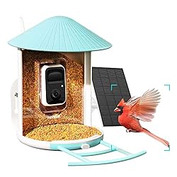 NETVUE Birdfy Lite - Smart Bird Feeder with Camera