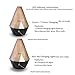 EULEVEN 100ml Cool Mist Essential Oil Diffuser Water-Less Auto-Off and 7 Colors LED Lights Ultrasonic Aroma Humidifier for Home, Office, Yoga, Bedroom, Studying (Champagne)…