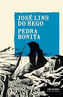 Livro Pedra bonita