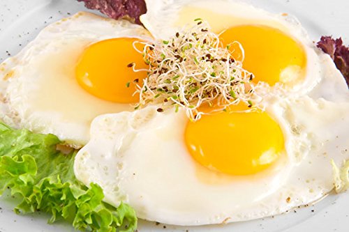 Alfalfa Sprouts - seeds