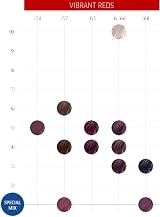 Wella Professionals Color Touch Semipermanent Haircolor 9/73 view 6