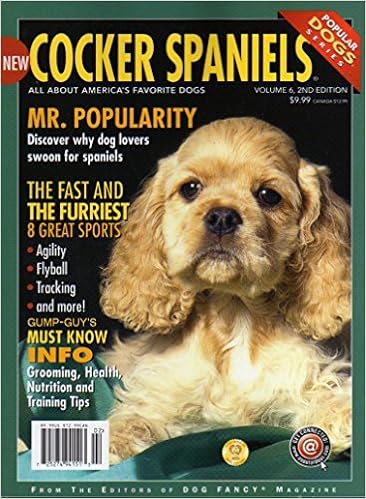 fast and furriest pet grooming