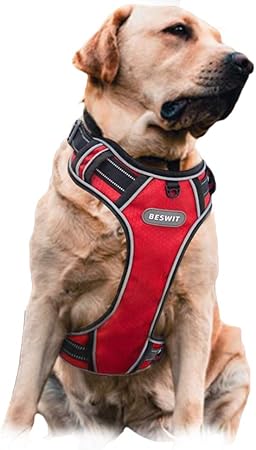 happy at heel harness amazon