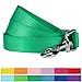 Blueberry Pet Essentials Emerald Dog Leash for X-Small -5' * 3/8