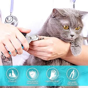 Candure Tagliaunghie Cane e Gatto con Guardia per Protezione Cani - Acciaio Inossidabile Tagliaunghie Gatto…