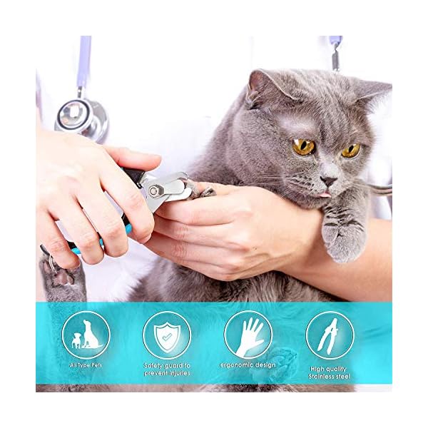 Candure Tagliaunghie Cane e Gatto con Guardia per Protezione Cani - Acciaio Inossidabile Tagliaunghie Gatto…