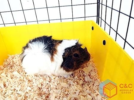 c&c cage for 4 guinea pigs