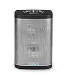 RIVA Concert with Alexa Built-in – Finally A Wireless Smart Speaker That Sounds Truly Amazing – WiFi, Airplay and Bluetooth Connectivity, Splash Resistant and Optional Battery (Black)