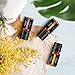 Anjou Essential Oils Gift Set, 18 x 5mL Aromatherapy Top Oils for Diffuser, Humidifier, Massage, Skin Hair Care, Therapeutic Grade 100% Pure, Include Lavender, Sweet Orange, Eucalyptus and More