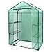 Ohuhu Small Walk-in Plants Greenhouse, 3-Tier 6-Shelf Stands Garden Green House, 56.3