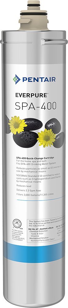 Which Is The Best Everpure Water Filter System Faucet