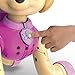 Paw Patrol, Zoomer Skye, Interactive Pup with Missions, Sounds and Phrases by Spin Master