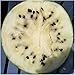 Package of 25 Seeds, Cream of Saskatchewan Watermelon (Citrullus lanatus) Non-GMO Seeds By Seed Needs