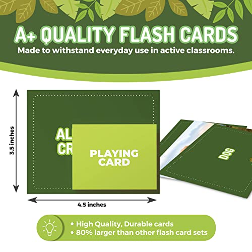 Animal Flash Cards 50 Educational Flash Cards for Children and Adults