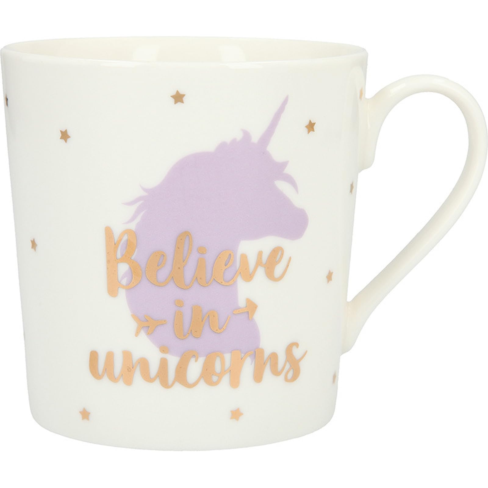 Depesche 5909.004 300 ml Believe in Unicorns Porcelain Mug with Handle, Multi-Colour