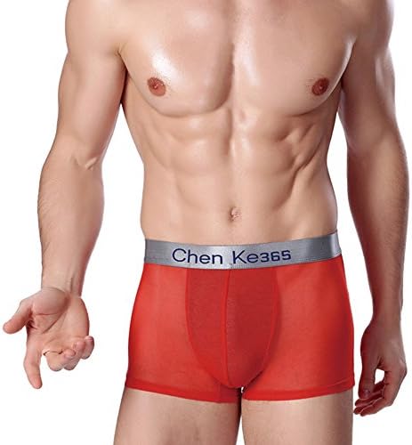 Kiwishow Men's Underwear, Men's Net Yarn with Ice silk Camouflage Briefs Boxer Underwear (XXL-Large, Red)