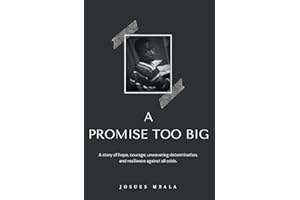 A PROMISE TOO BIG: A story of hope, courage, unwavering determination, and resilience against all odds.