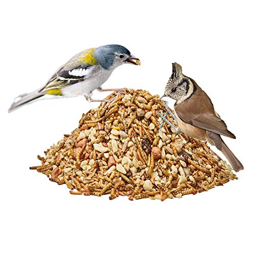 Paul´s Mühle Premium Ganzjahresfutter für Wildvögel mit extra hohem