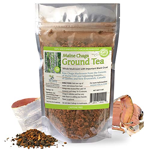 Maine Chaga Ground Tea Powder, Raw Wild Harvested, with Important Black Crust, 100 Servings