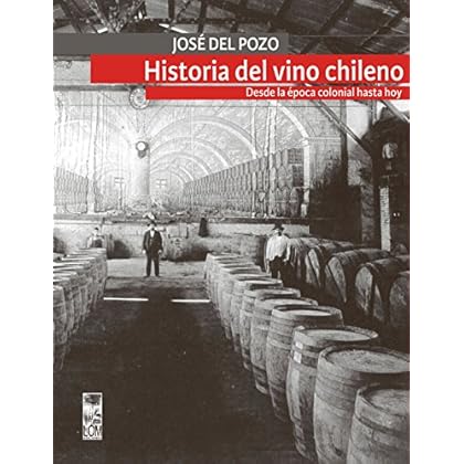 La historia del vino chileno: Desde la época colonial hasta hoy La historia del vino chileno: Desde la época colonial hasta hoy