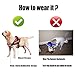 FAIRWIN Faylife Service Vest Dog Harness - Adjustable Nylon Dog Vest with Reflective Patches for Service Dogs Large Medium Small in Training-