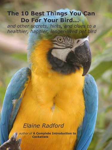 Download The 10 Best Things You Can Do For Your Bird: Secrets from Real Parrot, Finch, and Canary Owners (the Radford pet bird care series Book 1) (English Edition) PDF