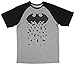 DC Comics Lego Batman Movie Lego Logo Crumbling Gray Graphic T-Shirt