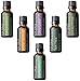Aromatherapy Top 6 100% Pure Therapeutic Grade Basic Sampler Essential Oil Gift Basic sampler essential oil gift set 6-30ML (tea tree, sweet orange, lemongrass, eucalyptus, lavender, peppermint)